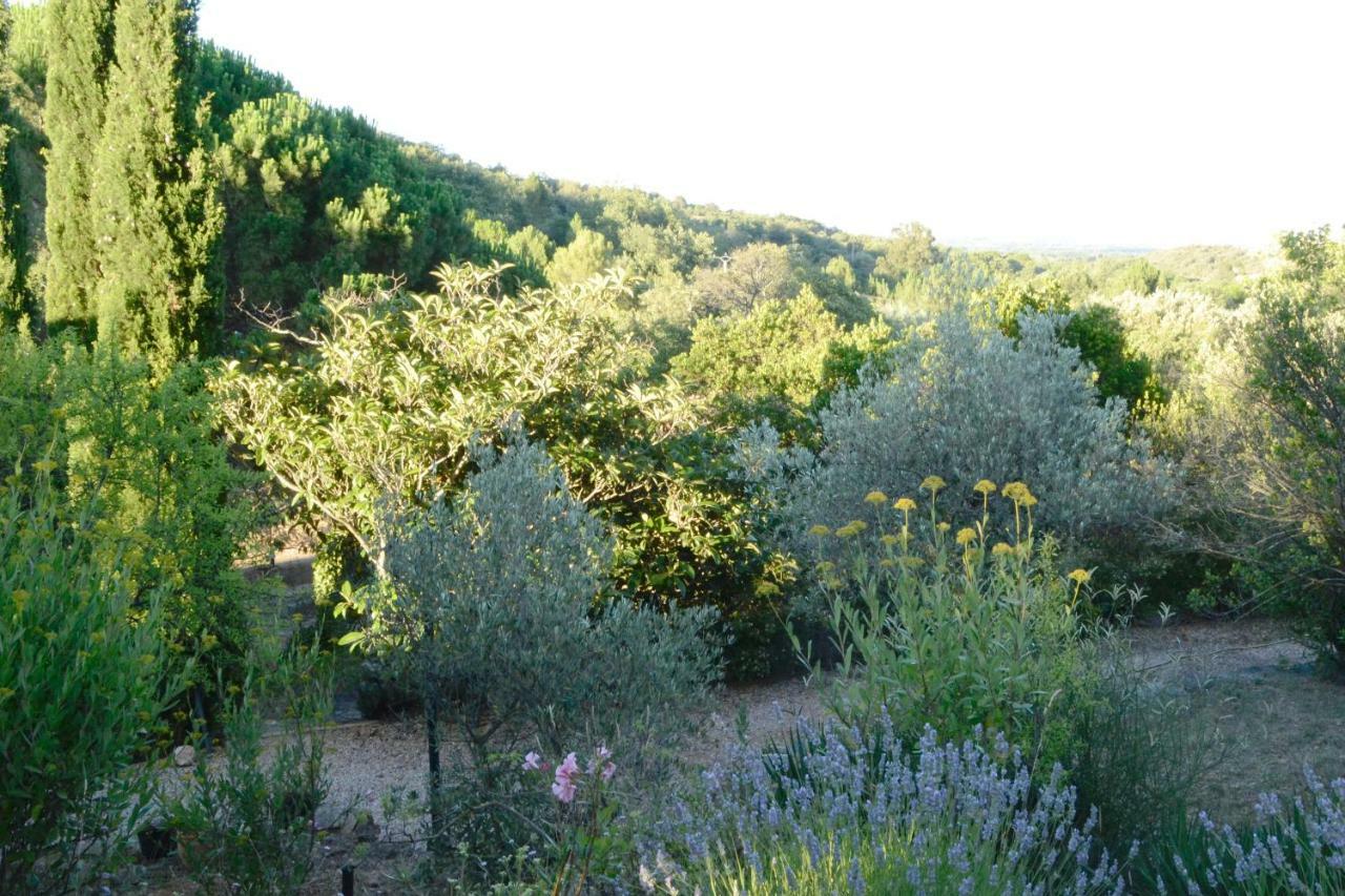 La Briardiere Camélas المظهر الخارجي الصورة